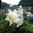 http://images.plurk.com/92d83fd94383036360c74453ce1173e3.jpg