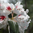 http://images.plurk.com/94676055b3d1413d7a00a3126f9e8aef.jpg