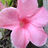 http://images.plurk.com/960f4a5850393e18b37a143e22a8f9ed.jpg