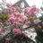 http://images.plurk.com/975462a6937a11f59097ed2fbf61b406.jpg