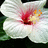 http://images.plurk.com/97e4020413caecd202394340b2c1c886.jpg