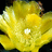 http://images.plurk.com/992cd204209901178b7febb7e3c6a817.jpg