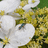 http://images.plurk.com/997527f38171a5e83de57bfdcbd4075f.jpg