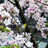 http://images.plurk.com/9b6ab6ea55e2c5bdfbedc18ea662f5e2.jpg