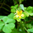 http://images.plurk.com/9fe67188182fe6ce5d15dd91837da753.jpg