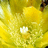 http://images.plurk.com/ab28a9cdb66b7b370fa64725faed6322.jpg