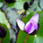 http://images.plurk.com/ac52a344d7c210327c6e3a291cdf740e.jpg