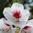 http://images.plurk.com/ae35f724b8530f446f518b1a8deb0545.jpg