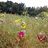 http://images.plurk.com/b1e12ddd789b0885008071b4f0fb5ad2.jpg