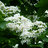 http://images.plurk.com/b3a6aa684338ce3b82427ee5cca94bfe.jpg