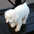 http://images.plurk.com/bd91728ddb910c4c49de7a6b1a558ab0.jpg