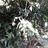 http://images.plurk.com/c0ba3b6eb387cd395bfe53bc8e9aa0aa.jpg