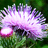 http://images.plurk.com/c4cde27c12d521f9652d2d850bfda5c0.jpg