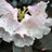http://images.plurk.com/c5c7c23c2a555ddf15bb49028e5cf25f.jpg