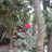 http://images.plurk.com/c78d3ee459f29fa3af8fd682d3b6439a.jpg