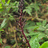 http://images.plurk.com/cc00392752c0f5937195287de9556b5b.jpg
