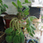 http://images.plurk.com/cd34c903674c60151ecec4e3471d904e.jpg
