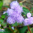 http://images.plurk.com/cf3bed8caf9a983277bed2e735856557.jpg