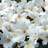 http://images.plurk.com/cf6eb82143ce4cd12176f5c0cbedf919.jpg