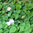 http://images.plurk.com/d081c083d792331dac7afbf5a5b3c5ac.jpg