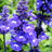 http://images.plurk.com/d0bbb20534600db9e39d9d6d3ac53cbd.jpg