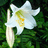 http://images.plurk.com/d2071fafd06b33058482010e827f9d02.jpg