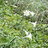 http://images.plurk.com/d3299adf2723f9b0fc404815f9c67e1d.jpg