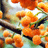 http://images.plurk.com/d34ab38884e6e0293a9f7599e45f1201.jpg
