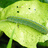 http://images.plurk.com/d9190454eb5e8a0e39312422a248fe8f.jpg