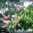 http://images.plurk.com/d92423ee0b47243179956cad6eca80d3.jpg