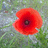 http://images.plurk.com/dabfc3114bc50e832199388d3c6a69f3.jpg