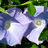 http://images.plurk.com/de762a68d2ad0d6fc7bc675cebb31755.jpg