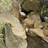 http://images.plurk.com/ee686b38cc11f1e9fe3f4b94ef72680e.jpg