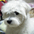 http://images.plurk.com/f11a7e810af99a20f5a21e35104f4441.jpg