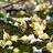 http://images.plurk.com/f1948498b21e718892938a9962d28beb.jpg