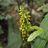 http://images.plurk.com/f29b04a32a162af3141d1ad9a15de5d4.jpg