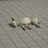 http://images.plurk.com/f33ee38477c16173a78112fc59378963.jpg
