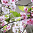 http://images.plurk.com/f5666f166bc42d8e49ffda6a5c552a5a.jpg