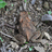 http://images.plurk.com/f9756db89bb529610bfabde204fb6bd4.jpg