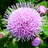 http://images.plurk.com/fdfd94416cb7752d25368ef04ea195eb.jpg