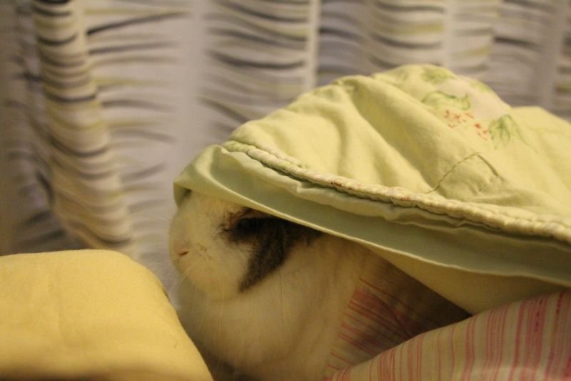 https://images.plurk.com/16rW9bzipvkArDO1txPMkA.jpg