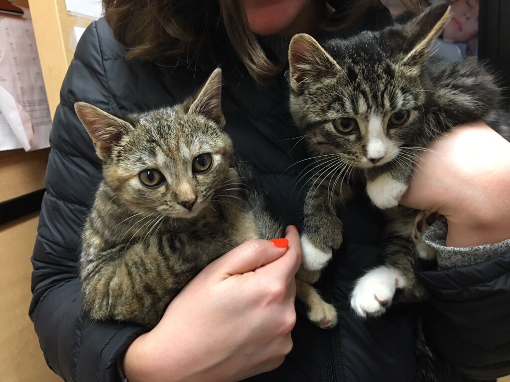 that's my sister holding them