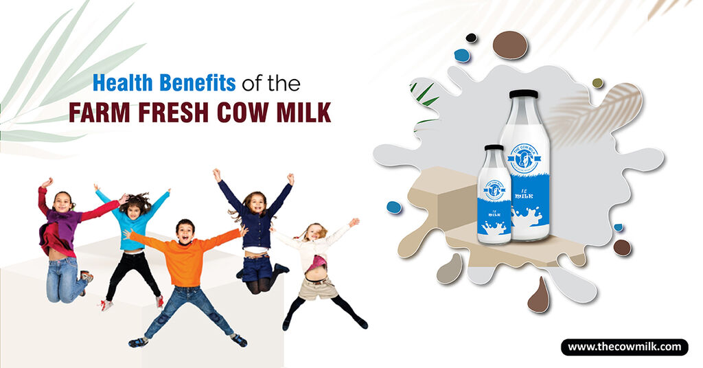 Farm Fresh Cow Milk in Gurgaon