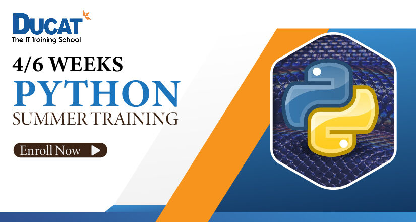 Python Summer Training