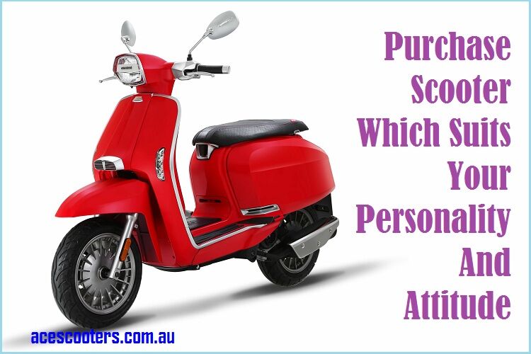 Purchase Scooter 