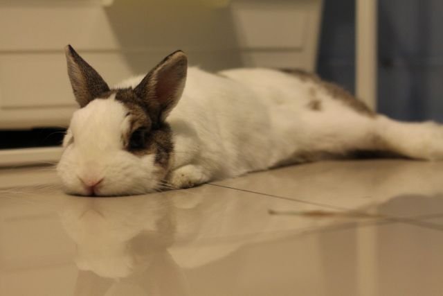 https://images.plurk.com/28ODzy08RJY9Zq8hQit2FW.jpg