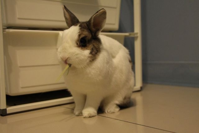 https://images.plurk.com/29TVZwcA252doCGtRU1imL.jpg