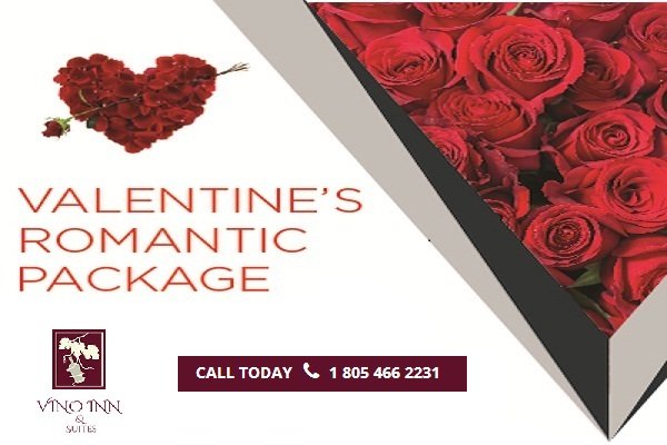 Vino Inn & Suites Valentine 2018