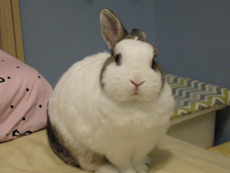 https://images.plurk.com/2EbNjLlGusBtBeBijk5oFm.jpg