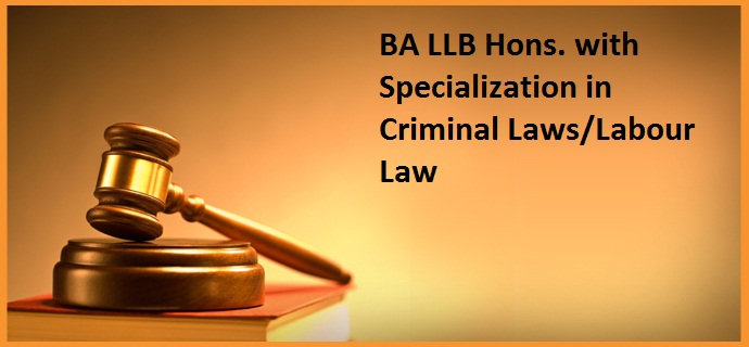 Criminal law essays